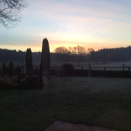 Am Muehlendamm Daire *